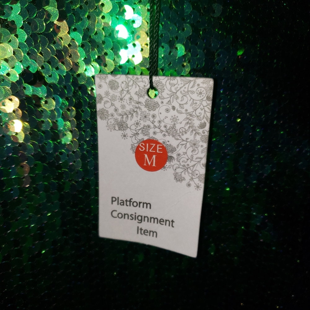 2 sequin skirts Green sequin skirt,  silver sequin skirt - Picture 3 of 6